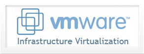 Statutul Enterprise VMware